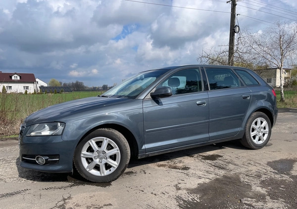 Audi A3 cena 21900 przebieg: 248000, rok produkcji 2011 z Chojnów małe 436